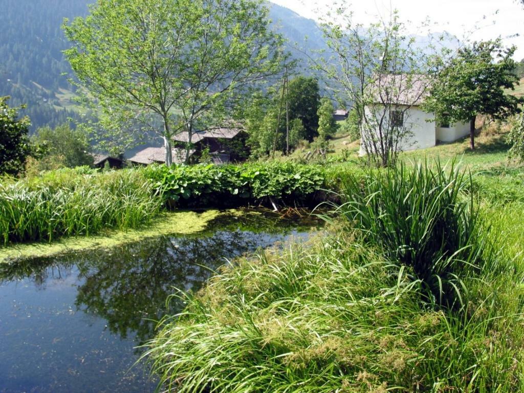 Haus Diezig Goms Kültér fotó